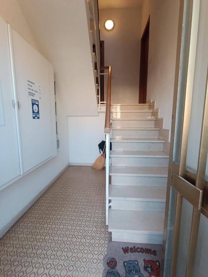 Le Palme 98 "Casa Vacanze" Λίντο ντι Καμαϊόρε Εξωτερικό φωτογραφία