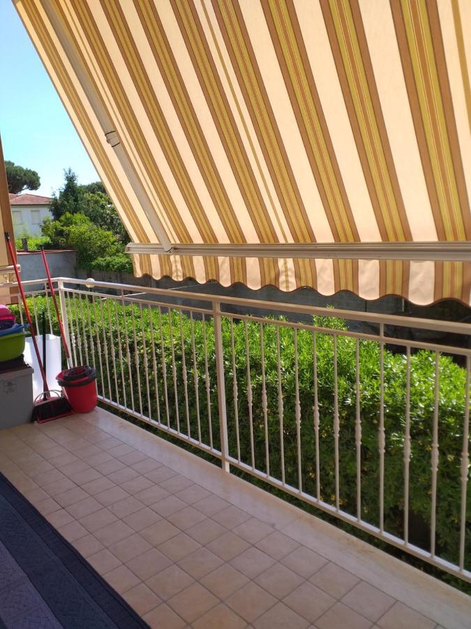 Le Palme 98 "Casa Vacanze" Λίντο ντι Καμαϊόρε Εξωτερικό φωτογραφία